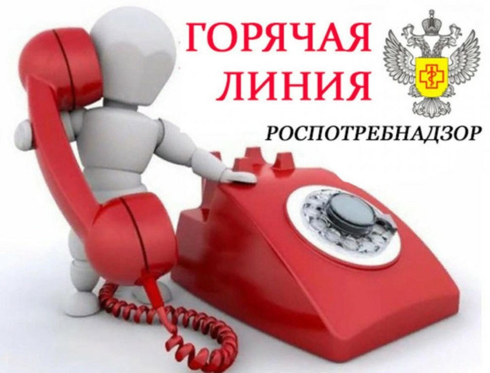 горячая линия